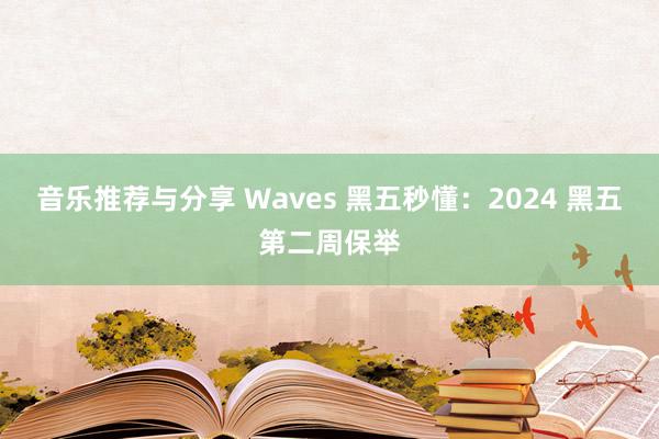 音乐推荐与分享 Waves 黑五秒懂：2024 黑五第二周保举