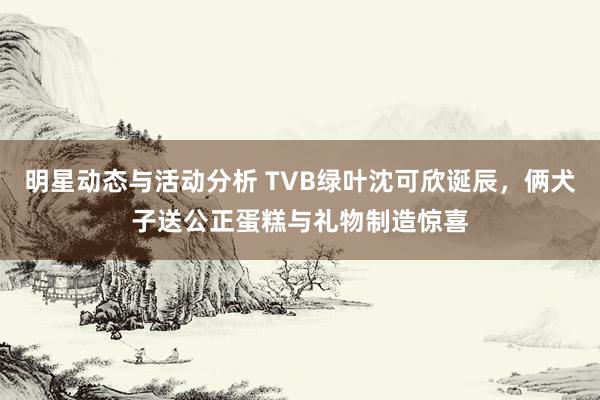 明星动态与活动分析 TVB绿叶沈可欣诞辰，俩犬子送公正蛋糕与礼物制造惊喜